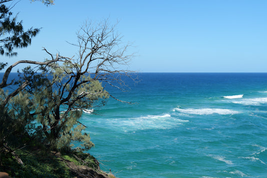 Stradbroke island Tour Earns EcoTourism Certification for North Stradbroke Island Tours! 🌿