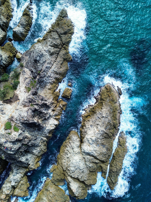 Stradbroke Island Wildlife Calendar: When to Spot Whales, Kangaroos,Koalas