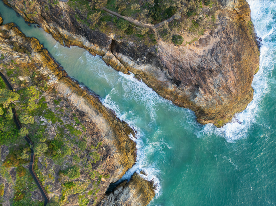Biodiversity Protection Checklist