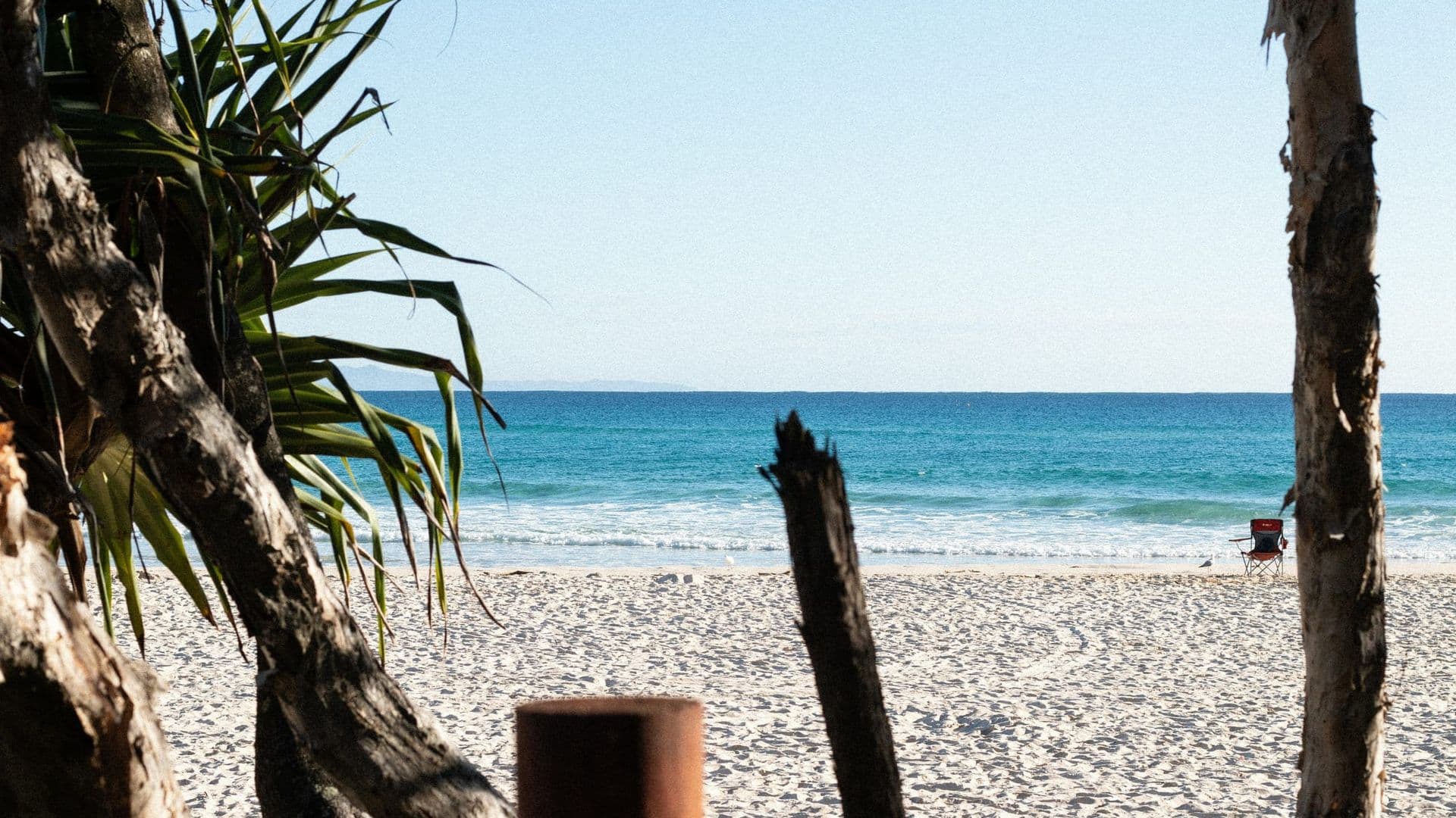 Pandanus trees and driftwood framing an ocean view from the North Gorge Walk, North Stradbroke Island