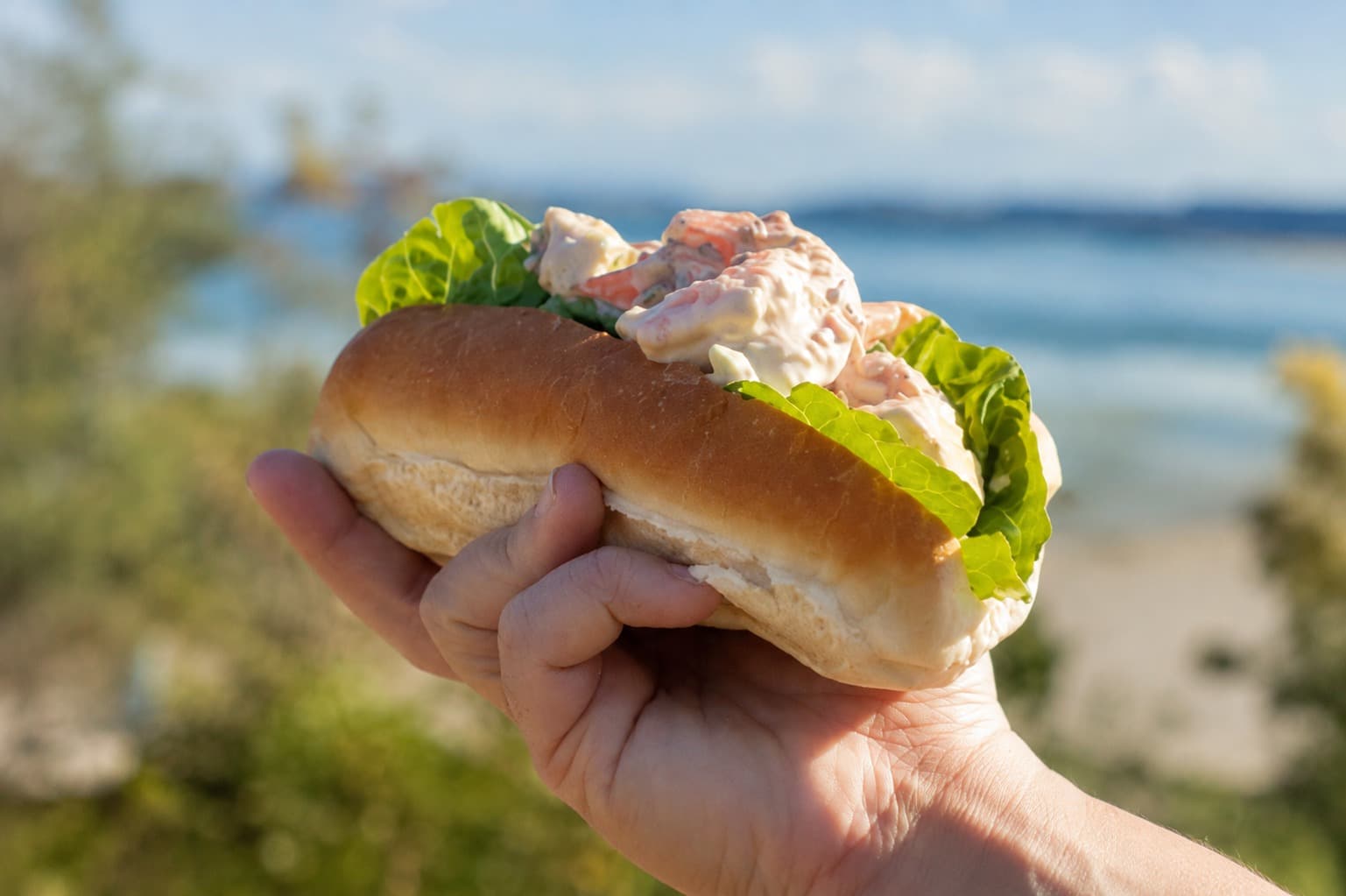 The Straddie Prawn Roll from The Prawn Shack held up in front of the beach at Point Lookout
